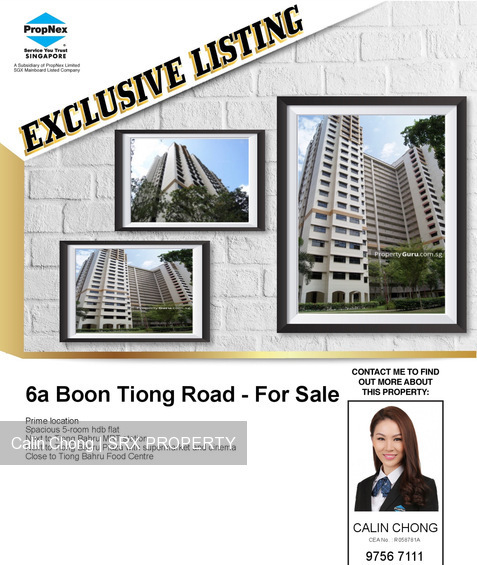 Blk 6A Boon Tiong Arcadia (Bukit Merah), HDB 5 Rooms #202232032